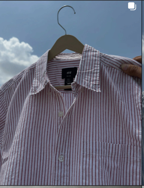rose pencil stripe